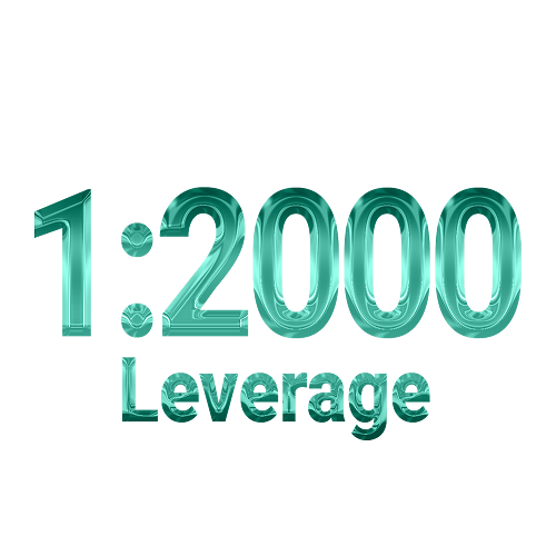 Flexible Leverage